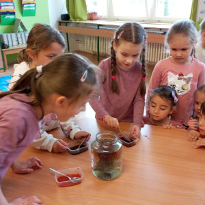 DRUŽINKA  ŘÍJEN 2025