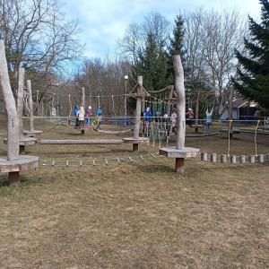 img20250310122952.jpg